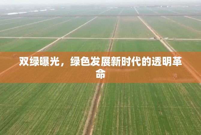 雙綠曝光，綠色發(fā)展新時代的透明革命
