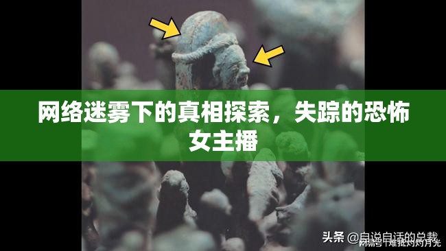 網(wǎng)絡迷霧下的真相探索，失蹤的恐怖女主播