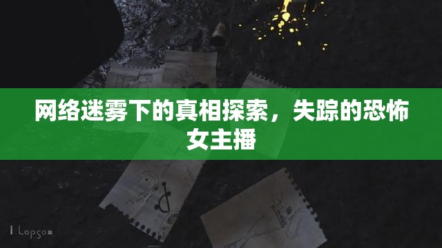 網(wǎng)絡迷霧下的真相探索，失蹤的恐怖女主播