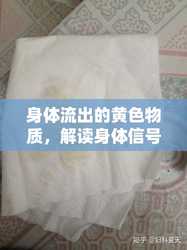 身體流出的黃色物質(zhì)，解讀身體信號(hào)的真相