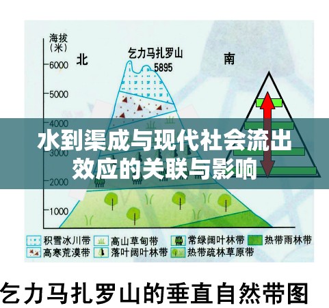 水到渠成與現(xiàn)代社會(huì)流出效應(yīng)的關(guān)聯(lián)與影響