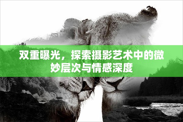 雙重曝光，探索攝影藝術(shù)中的微妙層次與情感深度