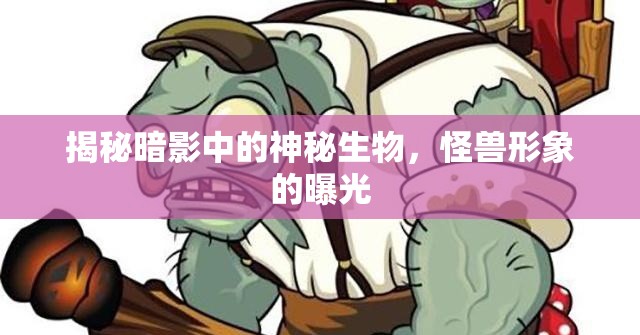 揭秘暗影中的神秘生物，怪獸形象的曝光
