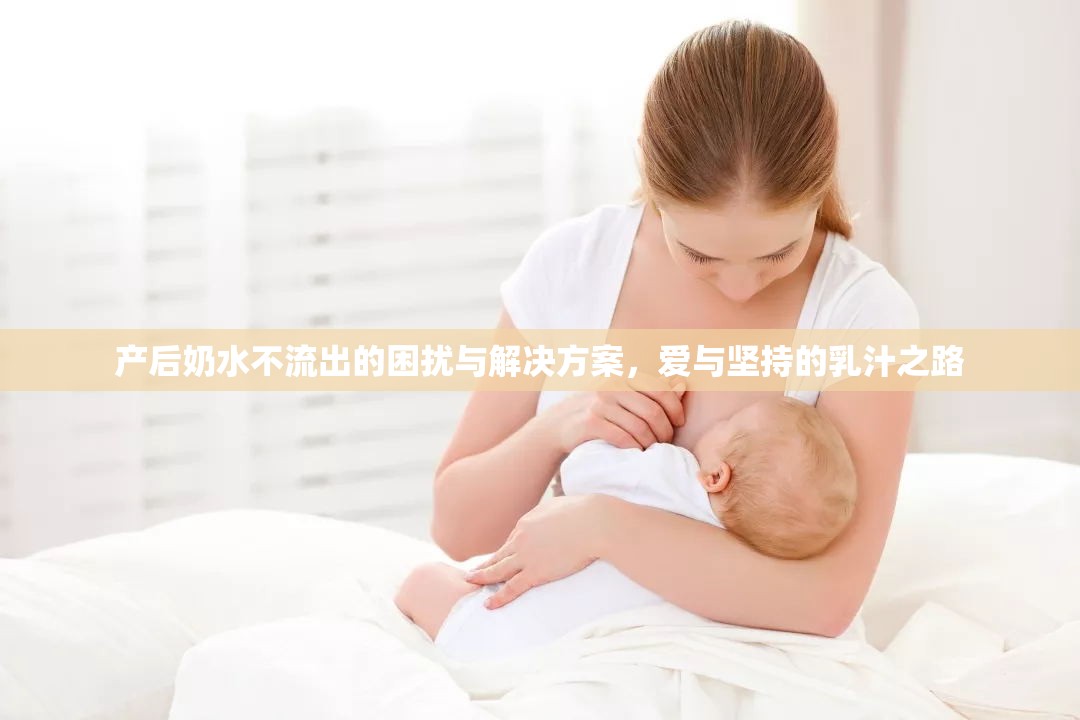 產(chǎn)后奶水不流出的困擾與解決方案，愛與堅(jiān)持的乳汁之路