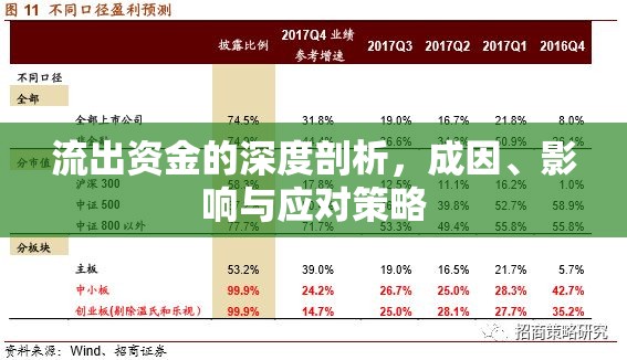 流出資金的深度剖析，成因、影響與應(yīng)對策略