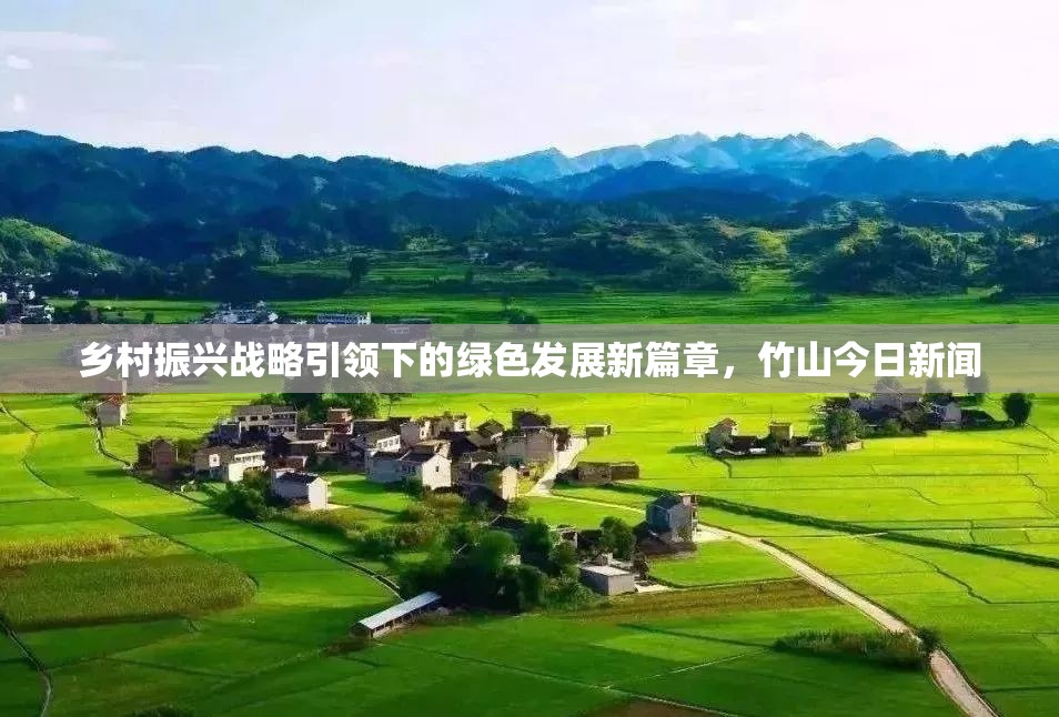 鄉(xiāng)村振興戰(zhàn)略引領(lǐng)下的綠色發(fā)展新篇章，竹山今日新聞