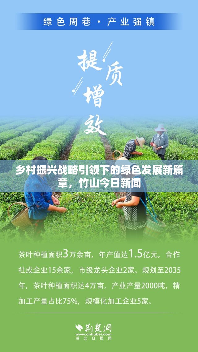 鄉(xiāng)村振興戰(zhàn)略引領(lǐng)下的綠色發(fā)展新篇章，竹山今日新聞