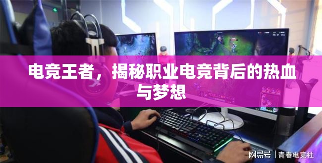 電競王者，揭秘職業(yè)電競背后的熱血與夢想