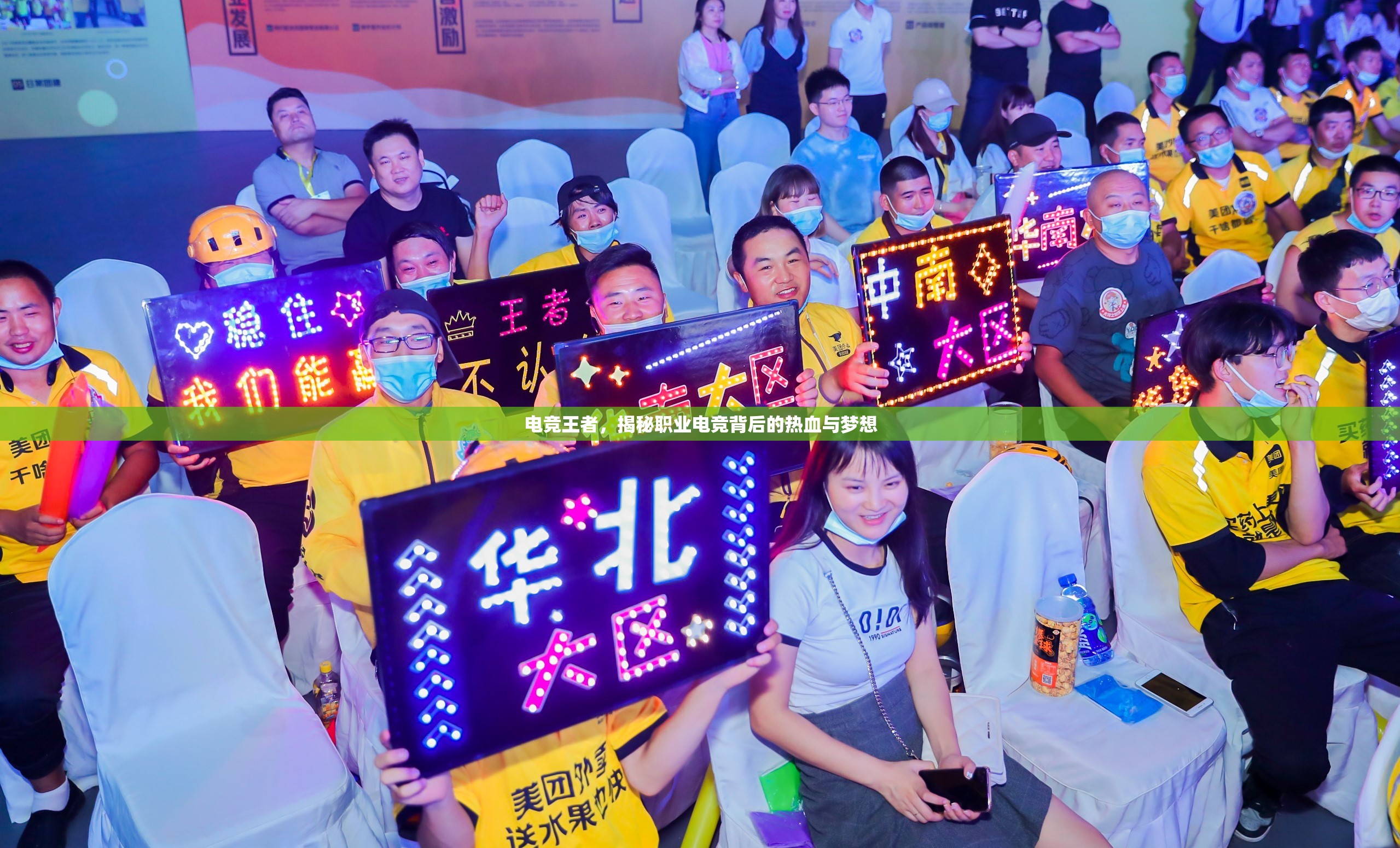 電競王者，揭秘職業(yè)電競背后的熱血與夢想