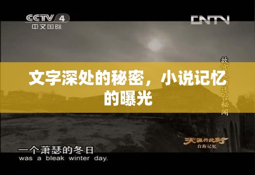 文字深處的秘密，小說(shuō)記憶的曝光