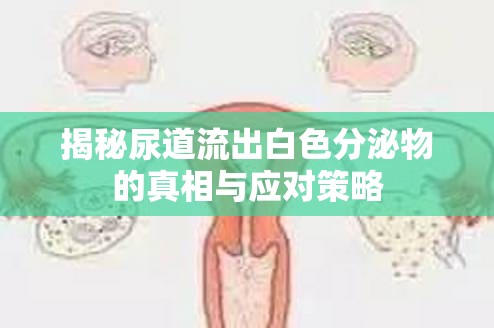 揭秘尿道流出白色分泌物的真相與應對策略