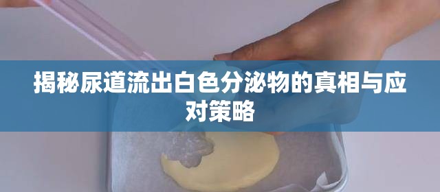 揭秘尿道流出白色分泌物的真相與應對策略