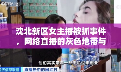 沈北新區(qū)女主播被抓事件，網(wǎng)絡(luò)直播的灰色地帶與法律紅線