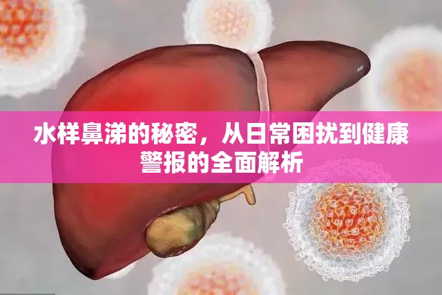 水樣鼻涕的秘密，從日常困擾到健康警報(bào)的全面解析