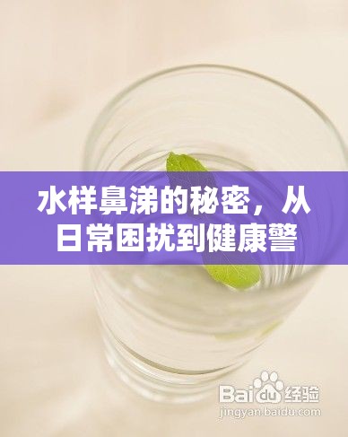 水樣鼻涕的秘密，從日常困擾到健康警報(bào)的全面解析