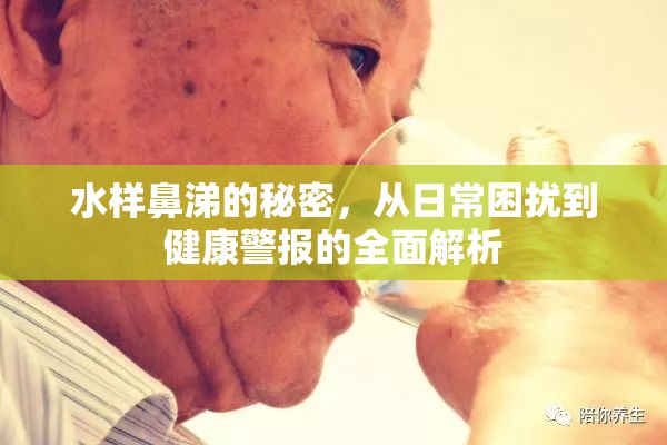 水樣鼻涕的秘密，從日常困擾到健康警報(bào)的全面解析