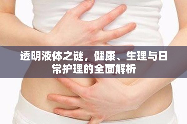 透明液體之謎，健康、生理與日常護(hù)理的全面解析