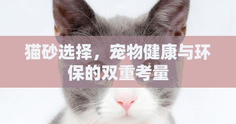 貓砂選擇，寵物健康與環(huán)保的雙重考量
