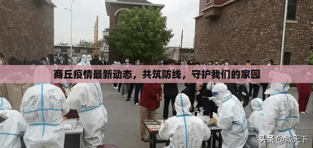商丘疫情最新動態(tài)，共筑防線，守護(hù)我們的家園