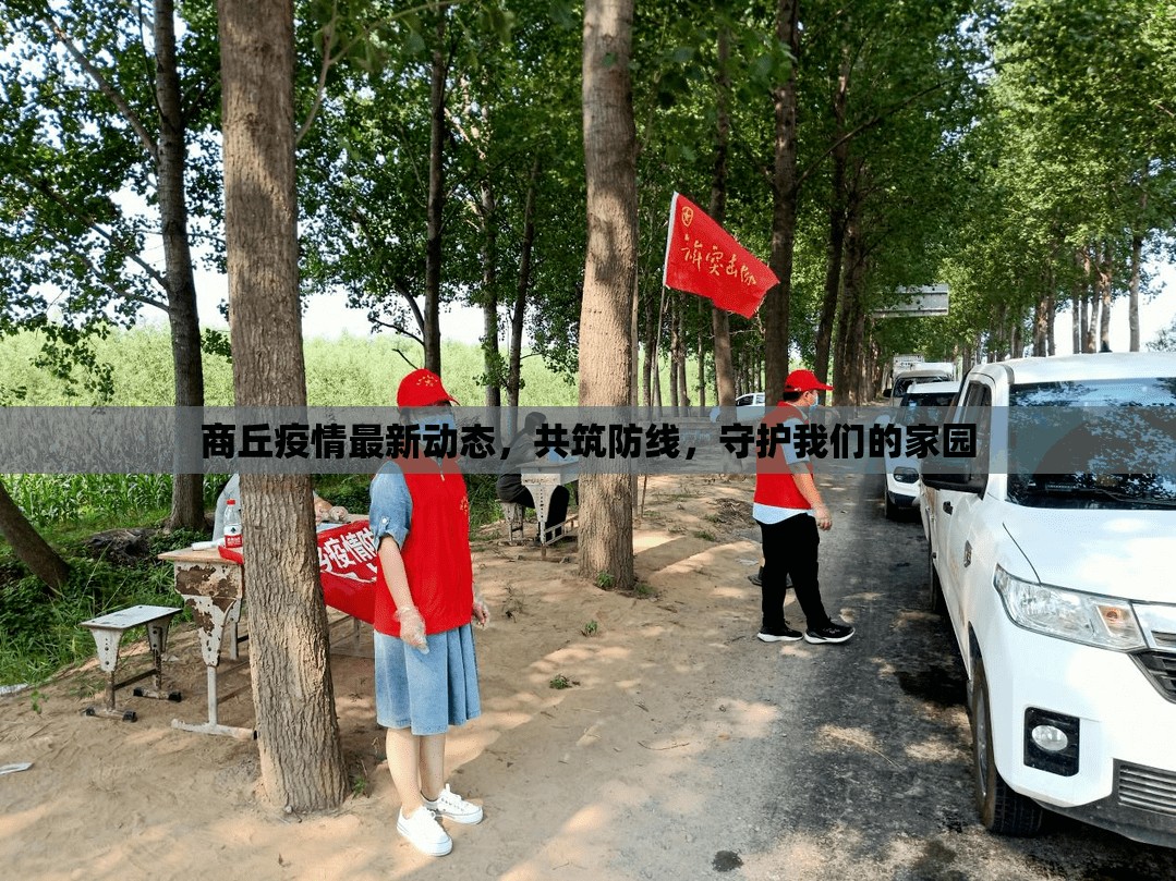 商丘疫情最新動態(tài)，共筑防線，守護(hù)我們的家園