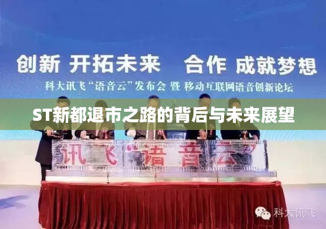 ST新都退市之路的背后與未來展望