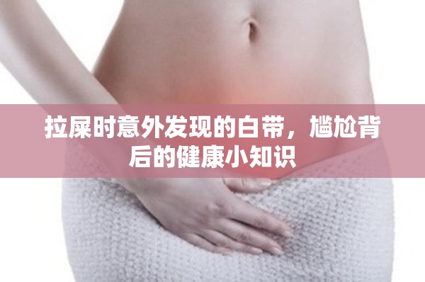 拉屎時意外發(fā)現(xiàn)的白帶，尷尬背后的健康小知識