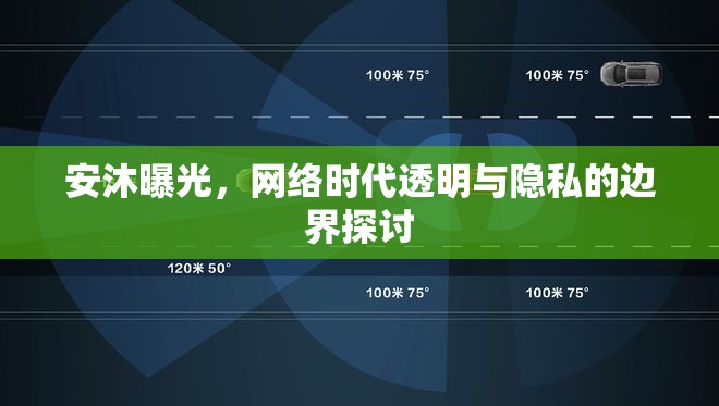 安沐曝光，網(wǎng)絡(luò)時(shí)代透明與隱私的邊界探討
