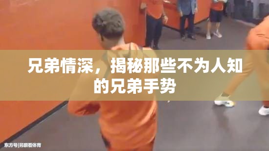 兄弟情深，揭秘那些不為人知的兄弟手勢(shì)