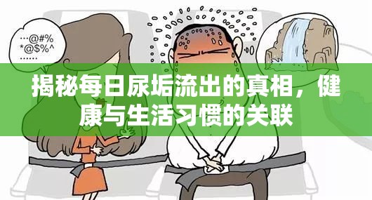 揭秘每日尿垢流出的真相，健康與生活習(xí)慣的關(guān)聯(lián)