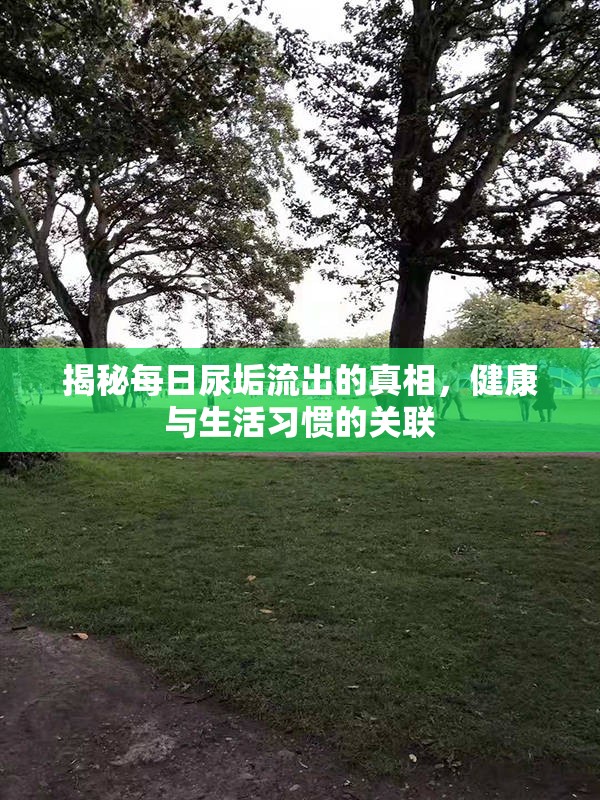 揭秘每日尿垢流出的真相，健康與生活習(xí)慣的關(guān)聯(lián)
