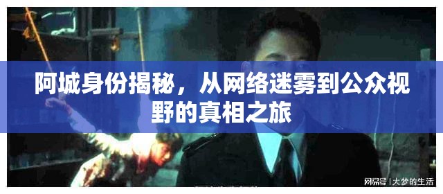阿城身份揭秘，從網(wǎng)絡(luò)迷霧到公眾視野的真相之旅