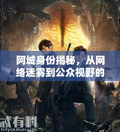 阿城身份揭秘，從網(wǎng)絡(luò)迷霧到公眾視野的真相之旅