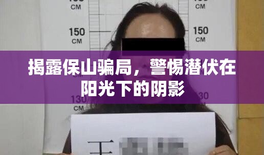揭露保山騙局，警惕潛伏在陽(yáng)光下的陰影