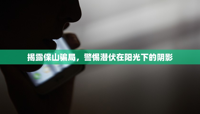 揭露保山騙局，警惕潛伏在陽(yáng)光下的陰影