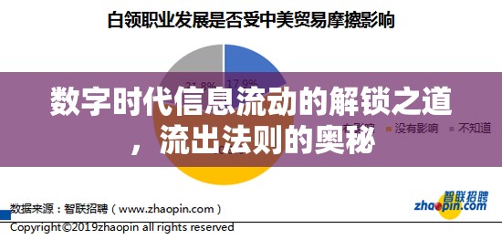 數(shù)字時代信息流動的解鎖之道，流出法則的奧秘