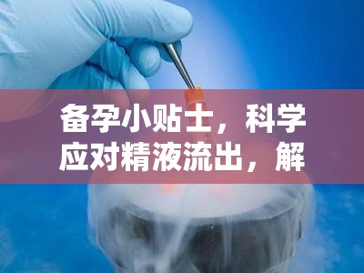 備孕小貼士，科學(xué)應(yīng)對(duì)精液流出，解鎖成功備孕的秘密