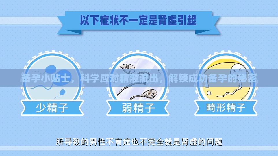 備孕小貼士，科學(xué)應(yīng)對(duì)精液流出，解鎖成功備孕的秘密