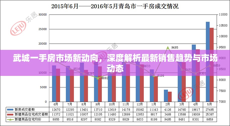 武城一手房市場(chǎng)新動(dòng)向，深度解析最新銷售趨勢(shì)與市場(chǎng)動(dòng)態(tài)