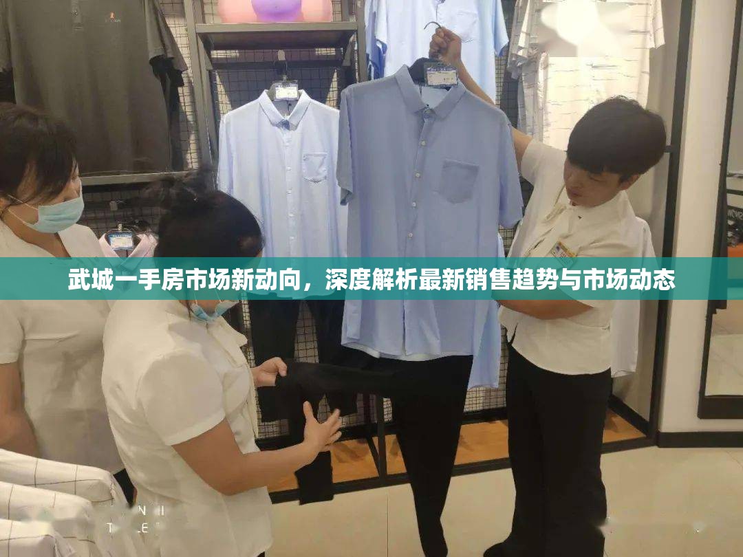 武城一手房市場(chǎng)新動(dòng)向，深度解析最新銷售趨勢(shì)與市場(chǎng)動(dòng)態(tài)