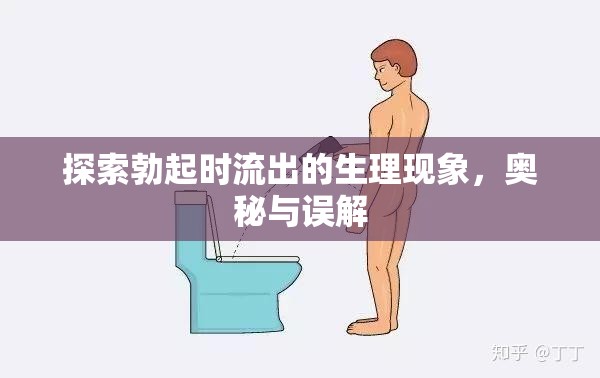 探索勃起時(shí)流出的生理現(xiàn)象，奧秘與誤解