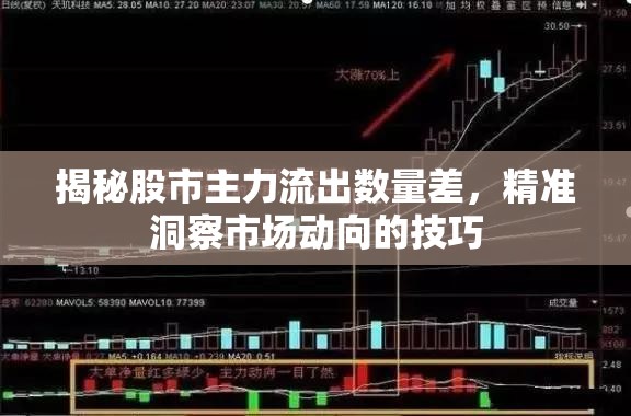 揭秘股市主力流出數(shù)量差，精準(zhǔn)洞察市場(chǎng)動(dòng)向的技巧