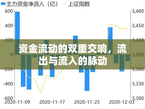 資金流動的雙重交響，流出與流入的脈動