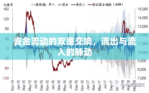 資金流動的雙重交響，流出與流入的脈動