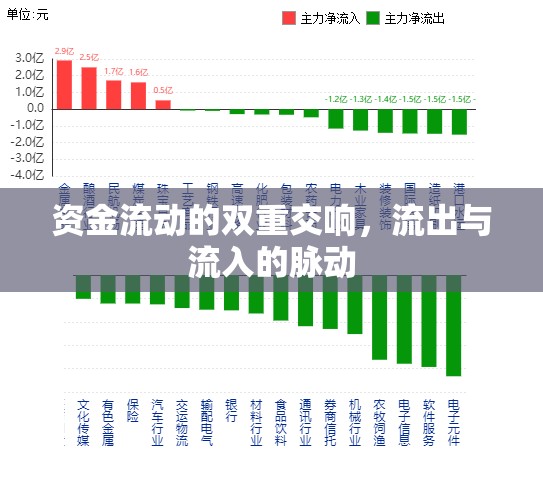 資金流動的雙重交響，流出與流入的脈動