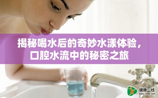 揭秘喝水后的奇妙水漾體驗，口腔水流中的秘密之旅