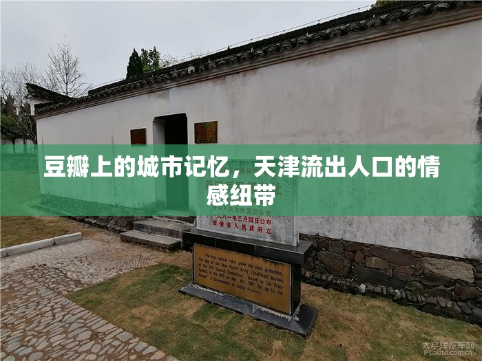 豆瓣上的城市記憶，天津流出人口的情感紐帶