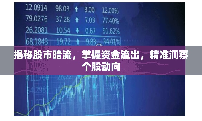 揭秘股市暗流，掌握資金流出，精準(zhǔn)洞察個(gè)股動(dòng)向