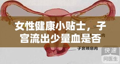 女性健康小貼士，子宮流出少量血是否正常？