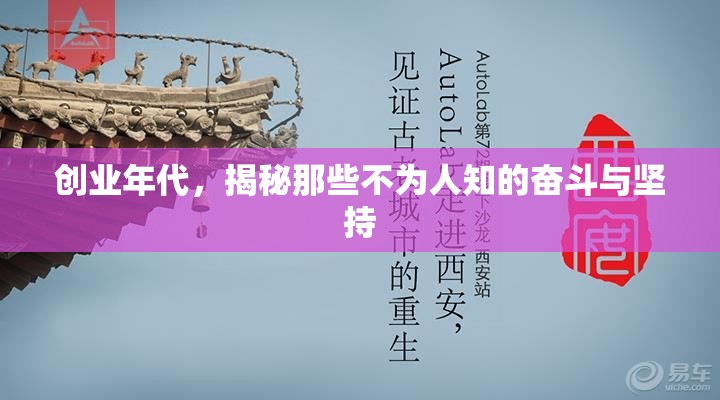 創(chuàng)業(yè)年代，揭秘那些不為人知的奮斗與堅持