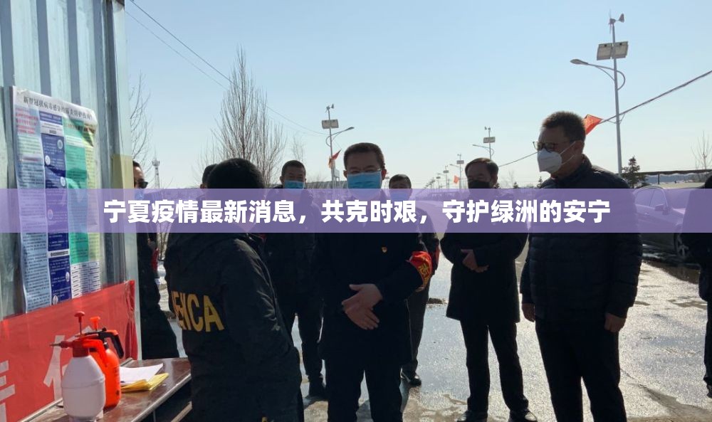 寧夏疫情最新消息，共克時(shí)艱，守護(hù)綠洲的安寧